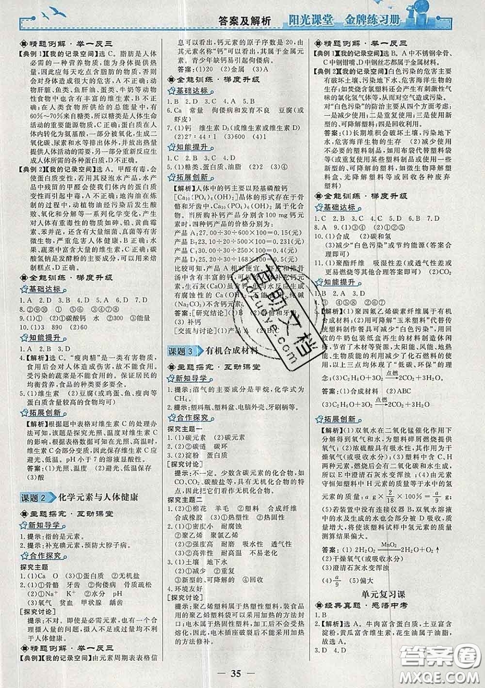 2020新版陽光課堂金牌練習(xí)冊九年級(jí)化學(xué)下冊人教版答案