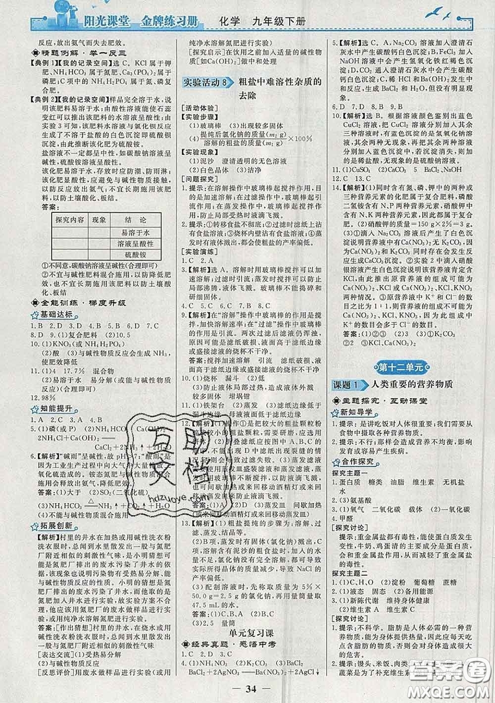 2020新版陽光課堂金牌練習(xí)冊九年級(jí)化學(xué)下冊人教版答案