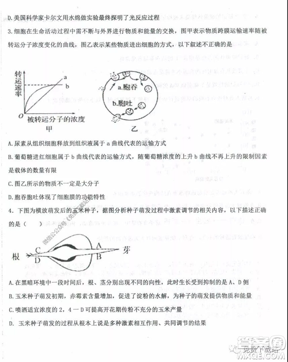 衡水中學2019-2020學年度高三年級下學期期中考試理科綜合試題及答案