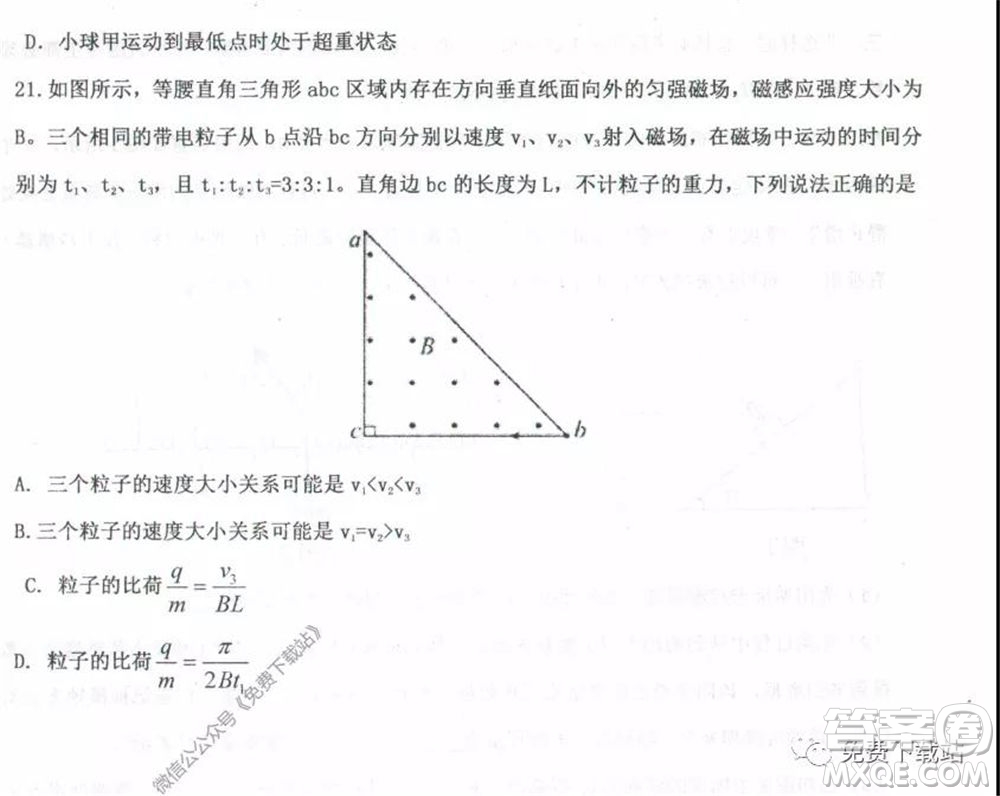 衡水中學2019-2020學年度高三年級下學期期中考試理科綜合試題及答案