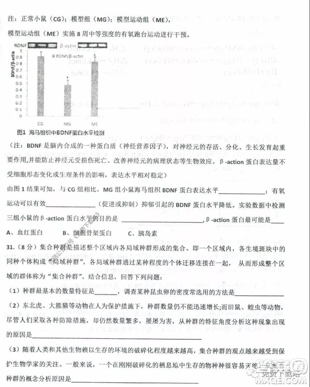 衡水中學2019-2020學年度高三年級下學期期中考試理科綜合試題及答案