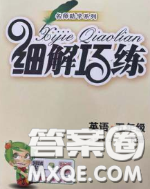 2020春名師助學(xué)系列細解巧練五年級英語下冊人教版答案