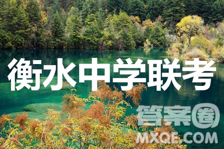 河北衡水中學(xué)2020屆全國高三第三次聯(lián)合考試文科綜合答案