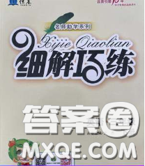 2020春名師助學(xué)系列細(xì)解巧練三年級(jí)英語(yǔ)下冊(cè)人教版答案