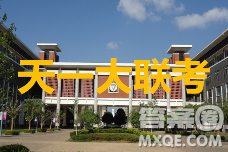 天一大聯考2019-2020學年海南省高三年級第四次模擬考試政治試題及答案