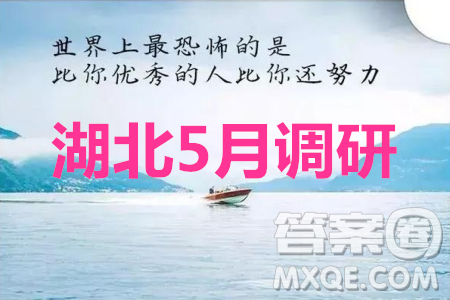 2020年湖北省高三5月調(diào)研模擬考試文科數(shù)學(xué)試題及答案