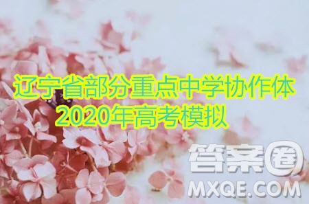 遼寧省部分重點中學(xué)協(xié)作體2020年高考模擬考試?yán)砜茢?shù)學(xué)試題及答案