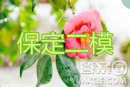 保定2020年高三第二次模擬考試理科數(shù)學試題及答案