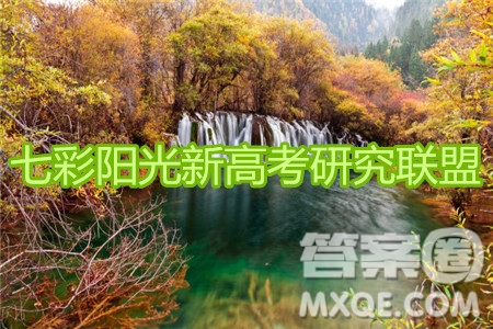 2019學(xué)年第二學(xué)期浙江七彩陽光新高考研究聯(lián)盟階段性評估高三化學(xué)試題及答案