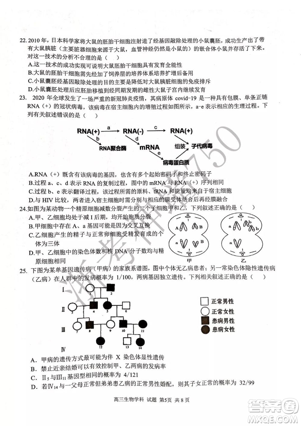 2019學(xué)年第二學(xué)期浙江七彩陽光新高考研究聯(lián)盟階段性評估高三生物試題及答案