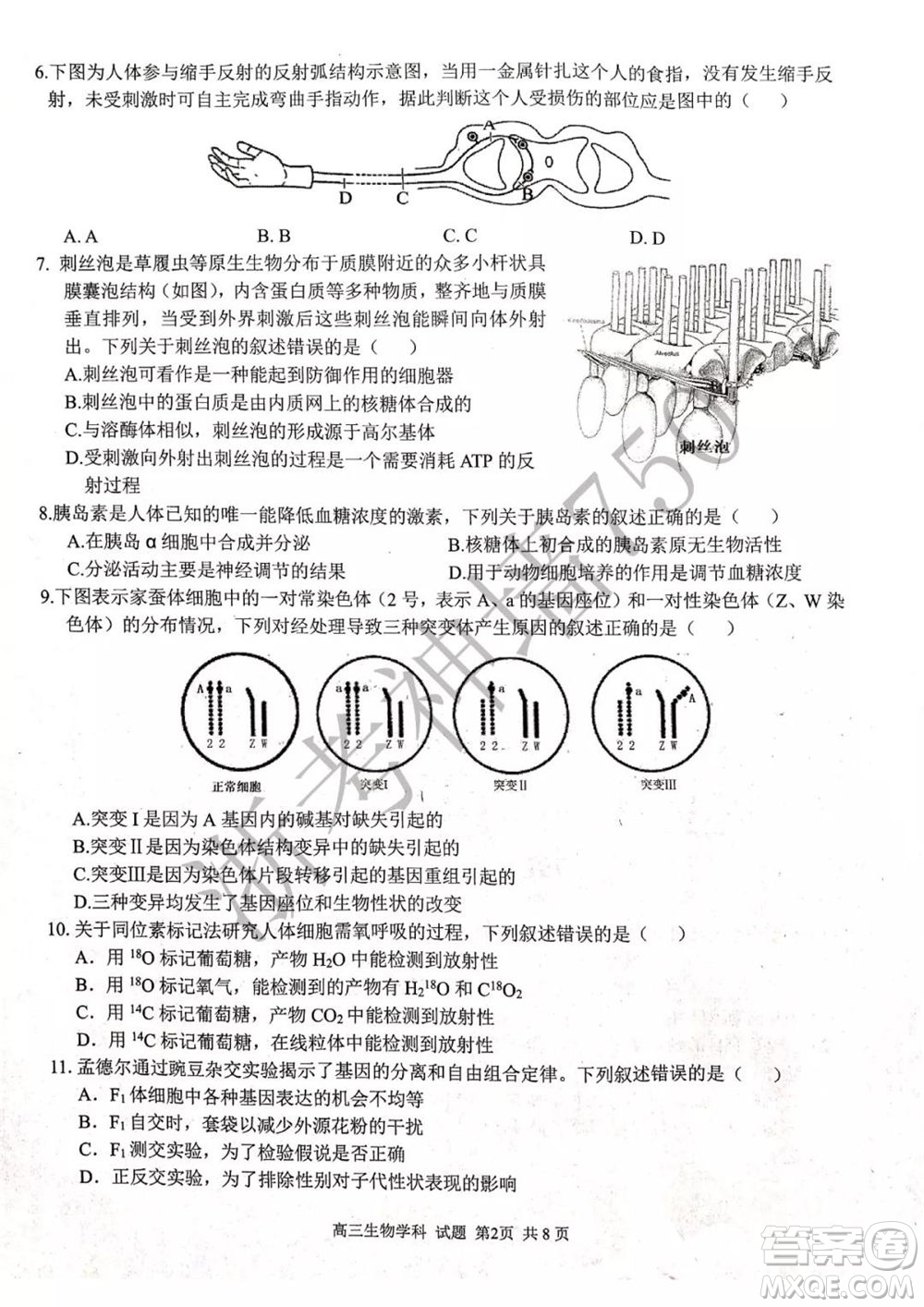 2019學(xué)年第二學(xué)期浙江七彩陽光新高考研究聯(lián)盟階段性評估高三生物試題及答案