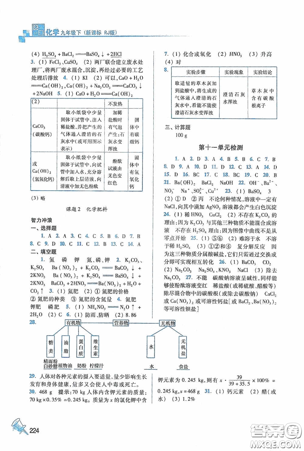 東南大學出版社2020名師點撥課課通教材全解析九年級化學下冊人教版答案