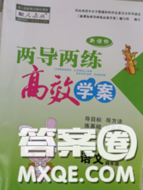 2020新版兩導(dǎo)兩練高效學案四年級語文下冊人教版答案