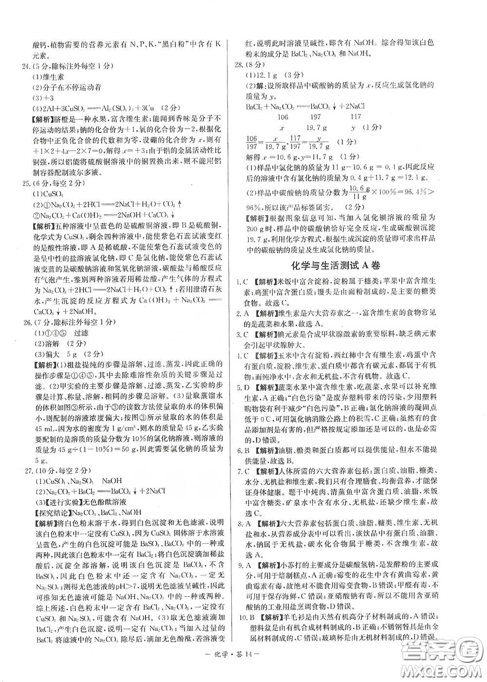 西藏人民出版社2020天利38套對接中考單元專題雙測卷九年級化學(xué)下冊人教版答案