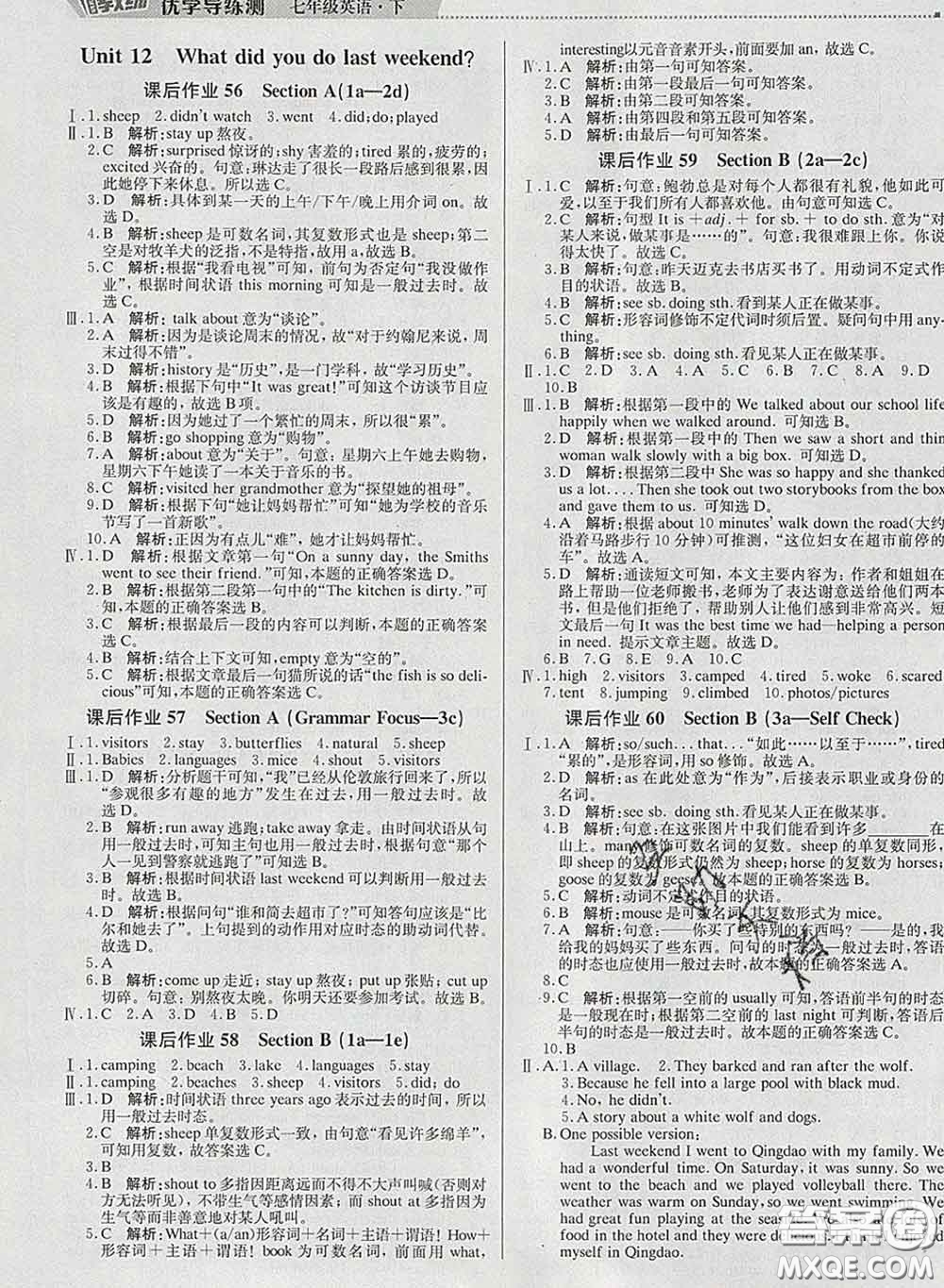 2020春提分教練優(yōu)學(xué)導(dǎo)練測(cè)七年級(jí)英語(yǔ)下冊(cè)人教版答案