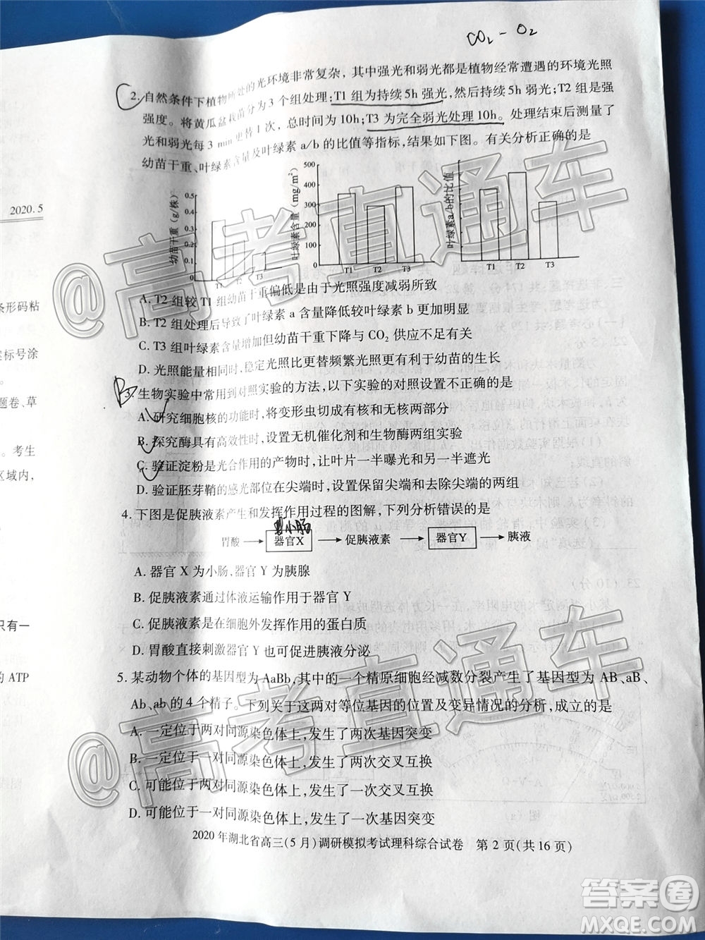 2020年湖北省高三5月調(diào)研模擬考試?yán)砜凭C合試題及答案