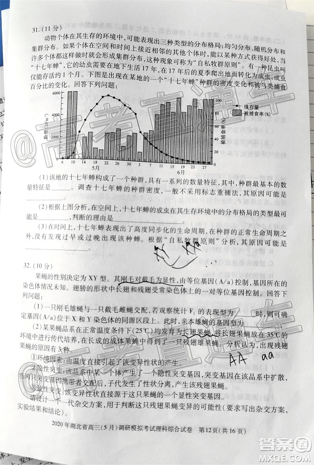 2020年湖北省高三5月調(diào)研模擬考試?yán)砜凭C合試題及答案