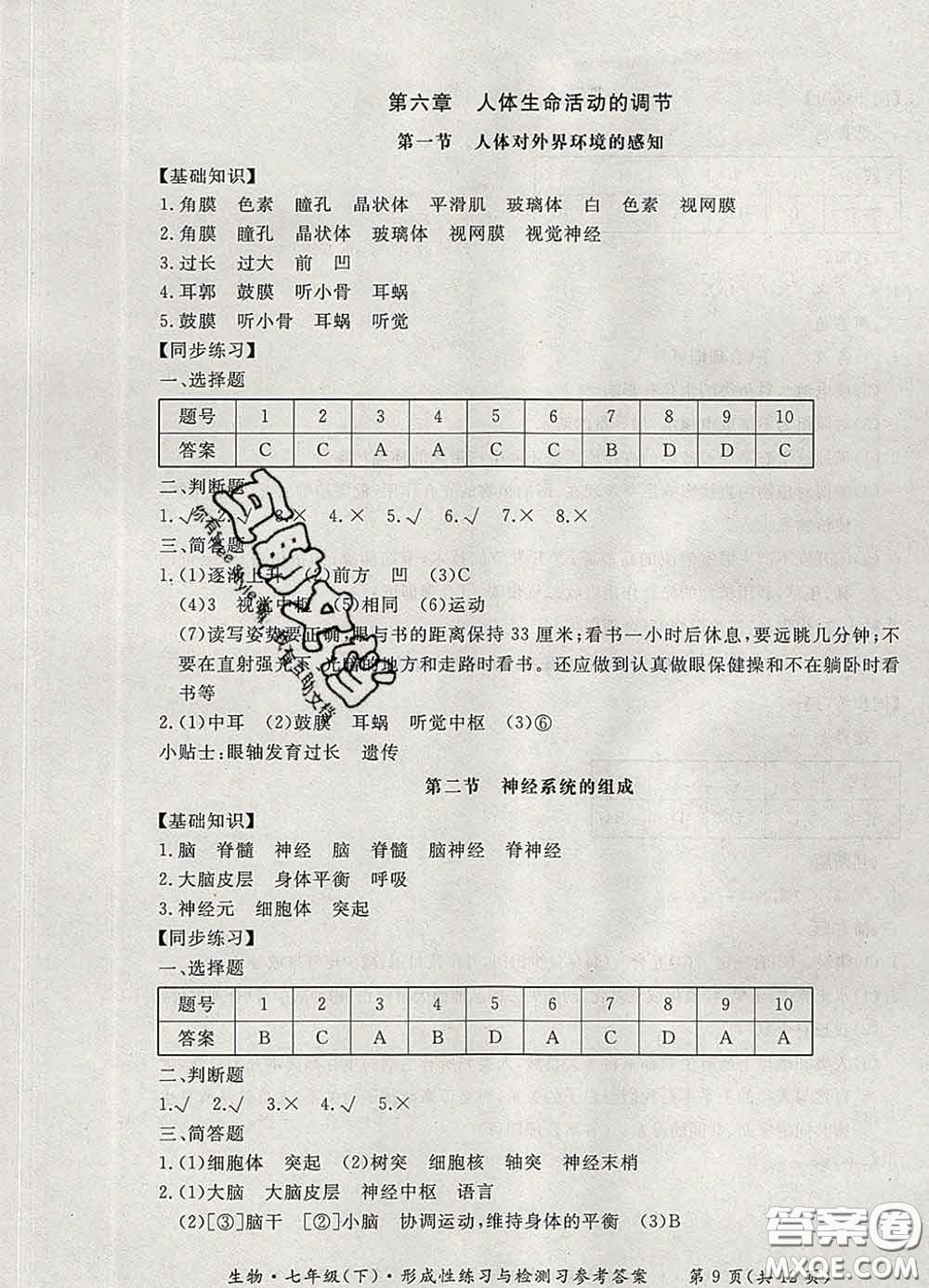 2020新版新課標(biāo)形成性練習(xí)與檢測七年級生物下冊人教版答案