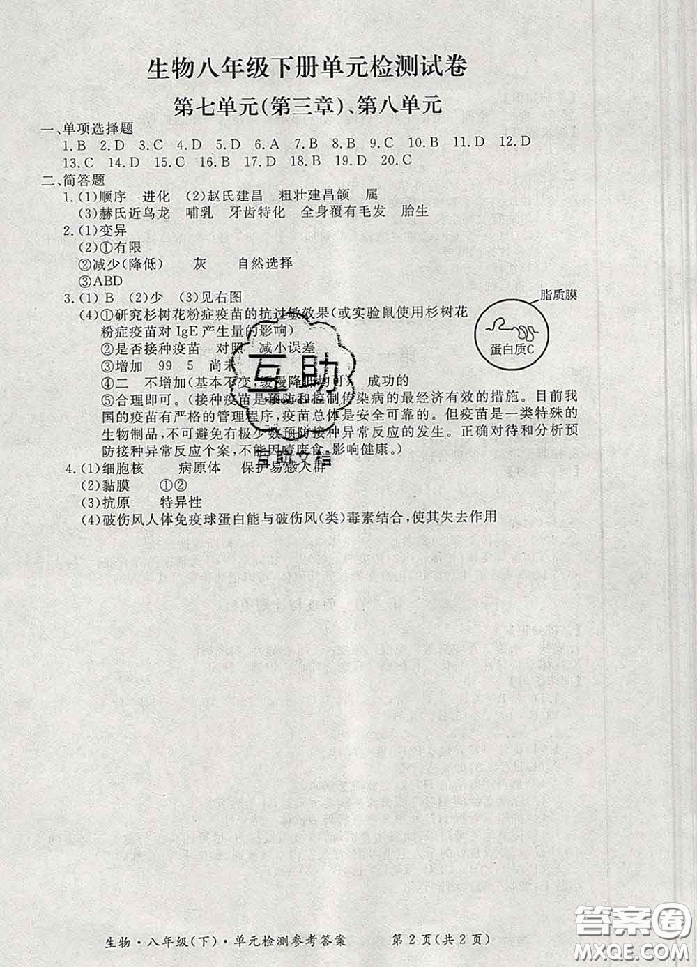 2020新版新課標形成性練習與檢測八年級生物下冊人教版答案