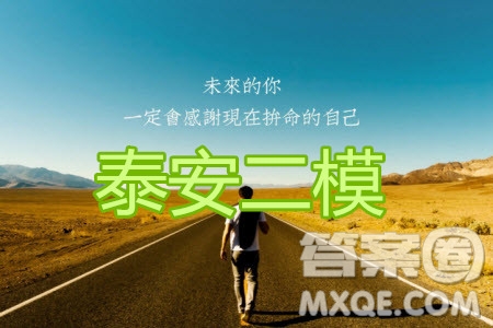 2020年泰安二模高三化學(xué)試題及答案