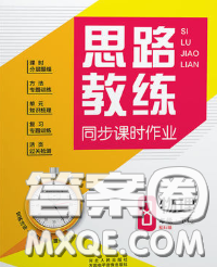 2020春思路教練同步課時(shí)作業(yè)八年級(jí)物理下冊(cè)人教版答案