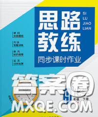 2020春思路教練同步課時作業(yè)九年級化學(xué)下冊人教版答案