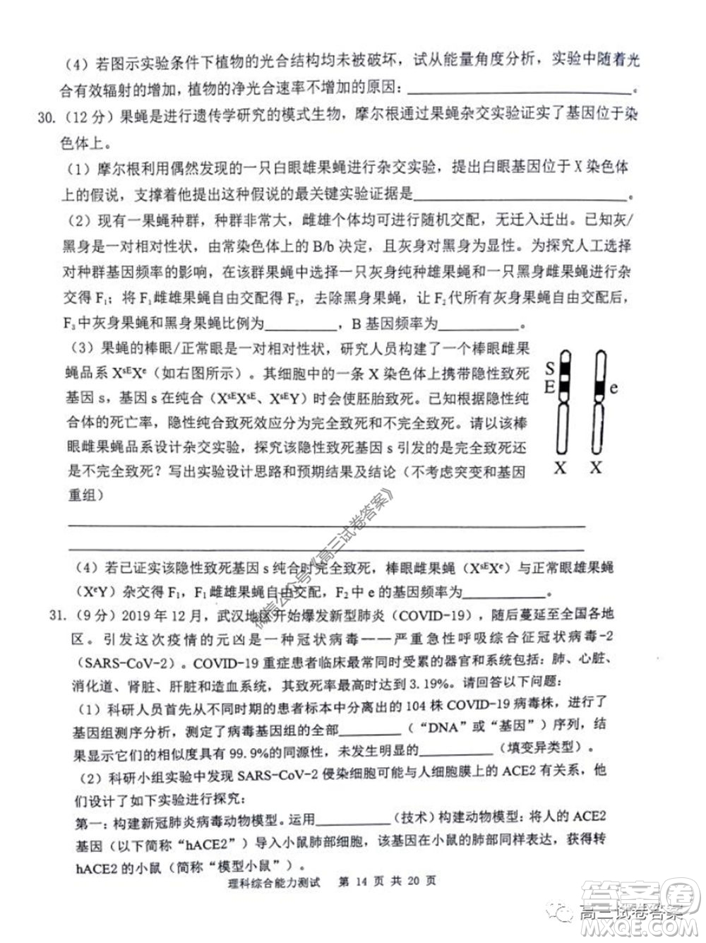 雅禮中學2020屆高三5月質(zhì)量檢測理科綜合試題及答案