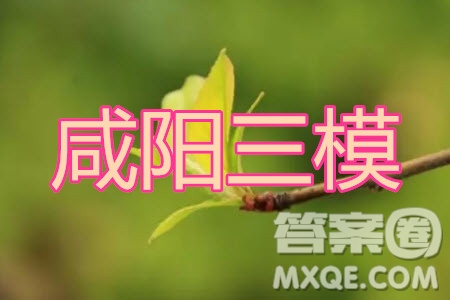 咸陽市2020年高考模擬檢測三文科數(shù)學(xué)試題及答案