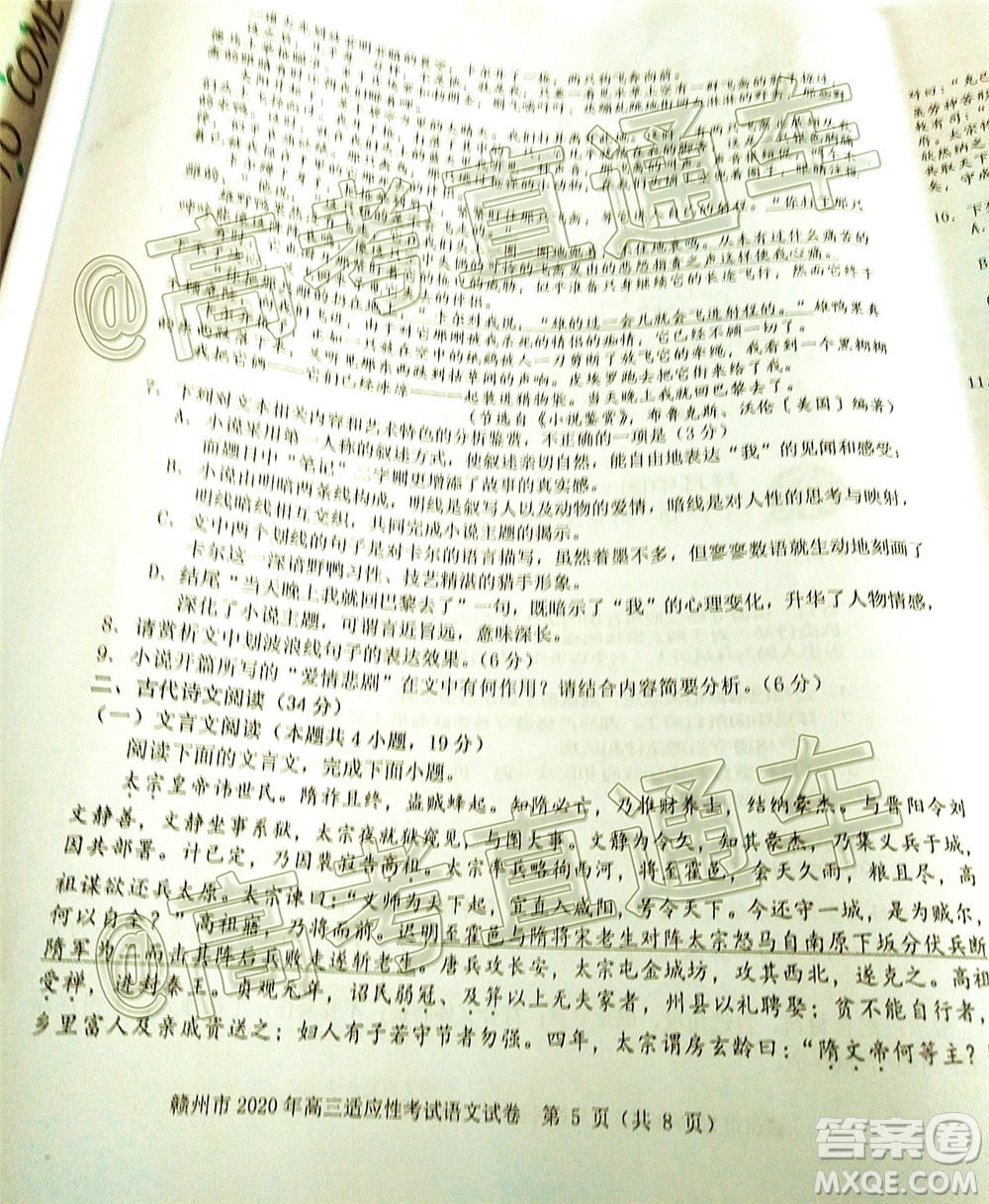 2020年5月贛州市高三年級(jí)適應(yīng)性考試語(yǔ)文試題及答案