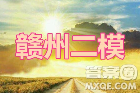 2020年5月贛州市高三年級(jí)適應(yīng)性考試文科數(shù)學(xué)試題及答案