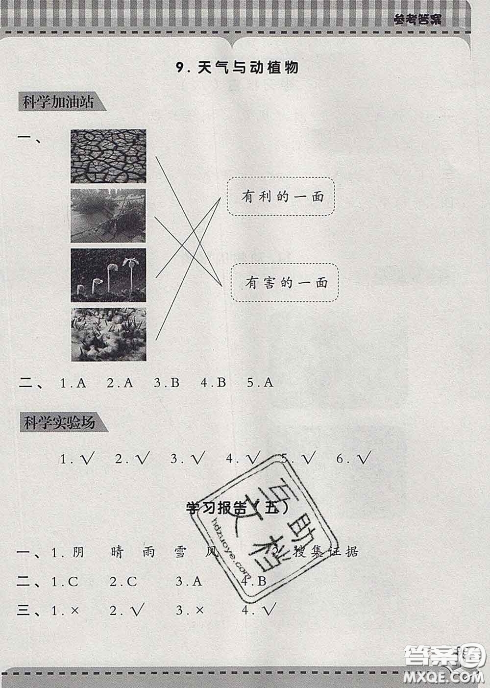 青島出版社2020春新課堂同步學(xué)習(xí)與探究二年級科學(xué)下冊答案