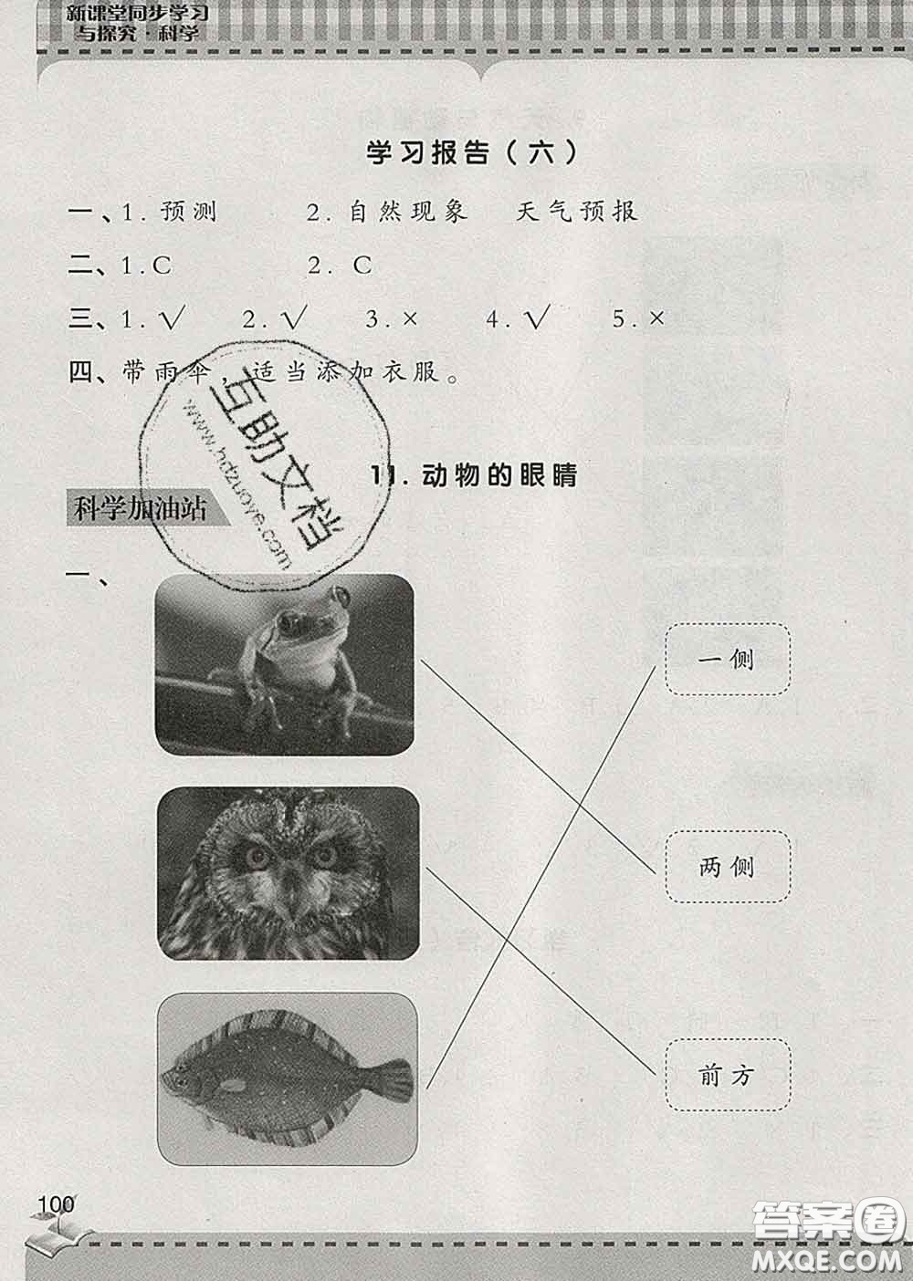 青島出版社2020春新課堂同步學(xué)習(xí)與探究二年級科學(xué)下冊答案