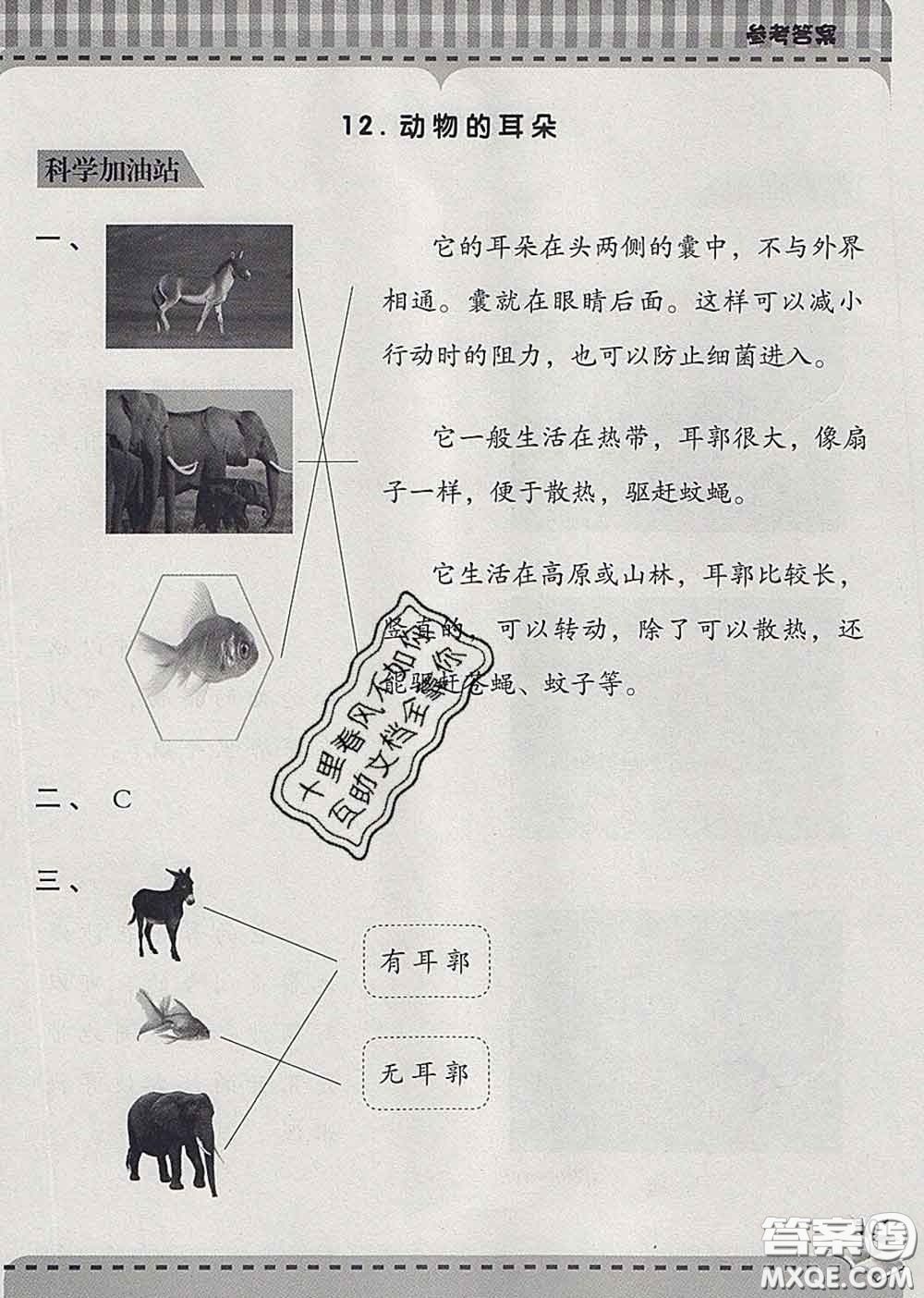 青島出版社2020春新課堂同步學(xué)習(xí)與探究二年級科學(xué)下冊答案