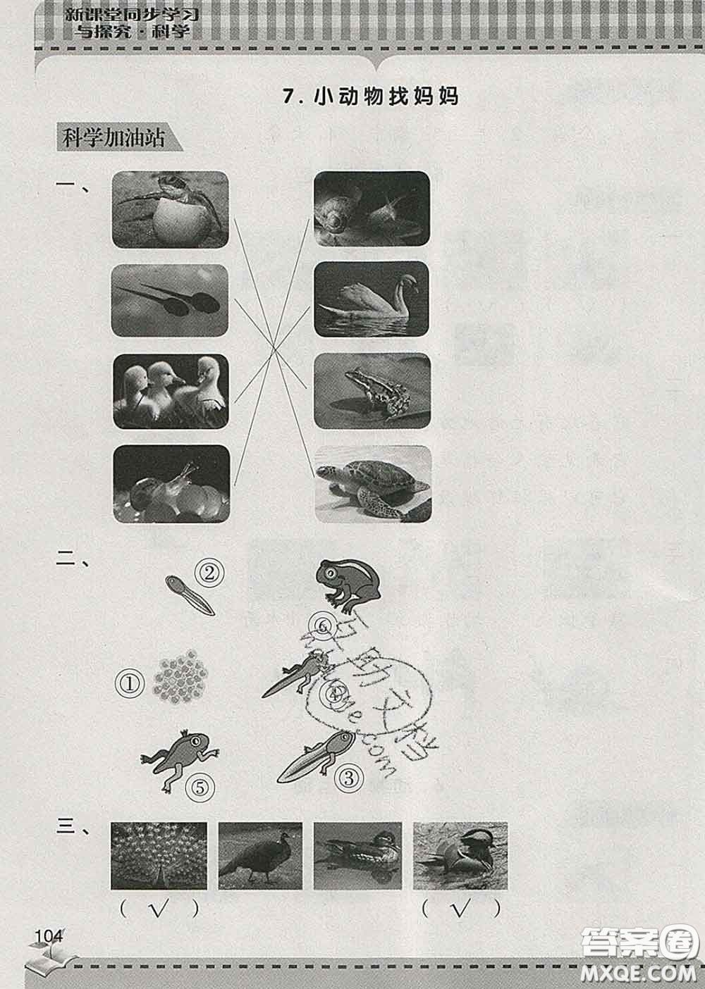 青島出版社2020春新課堂同步學(xué)習(xí)與探究一年級(jí)科學(xué)下冊(cè)答案