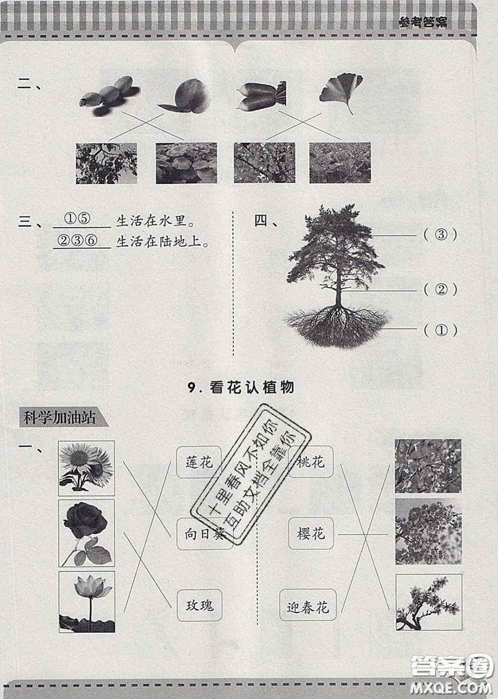 青島出版社2020春新課堂同步學(xué)習(xí)與探究一年級(jí)科學(xué)下冊(cè)答案