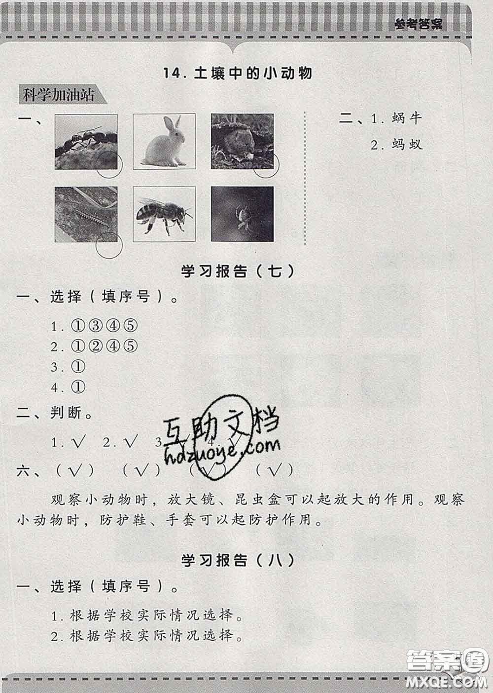 青島出版社2020春新課堂同步學(xué)習(xí)與探究一年級(jí)科學(xué)下冊(cè)答案