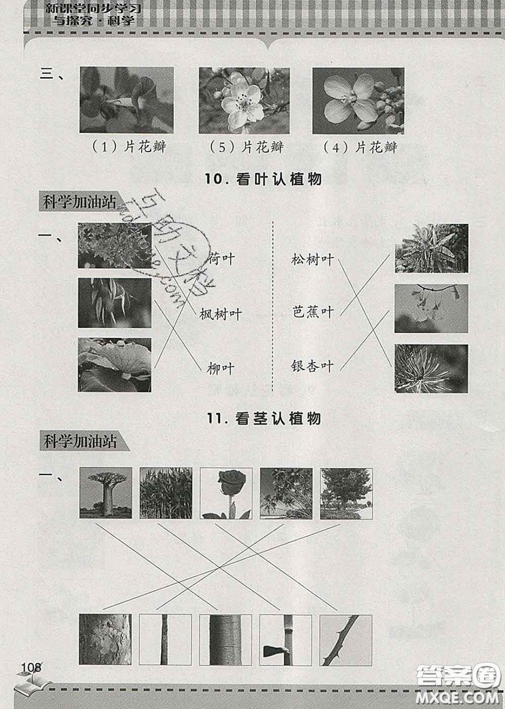 青島出版社2020春新課堂同步學(xué)習(xí)與探究一年級(jí)科學(xué)下冊(cè)答案