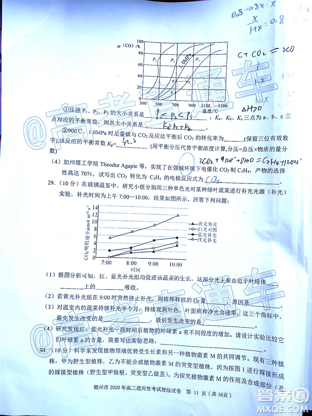 2020年5月贛州市高三年級適應(yīng)性考試?yán)砜凭C合試題及答案