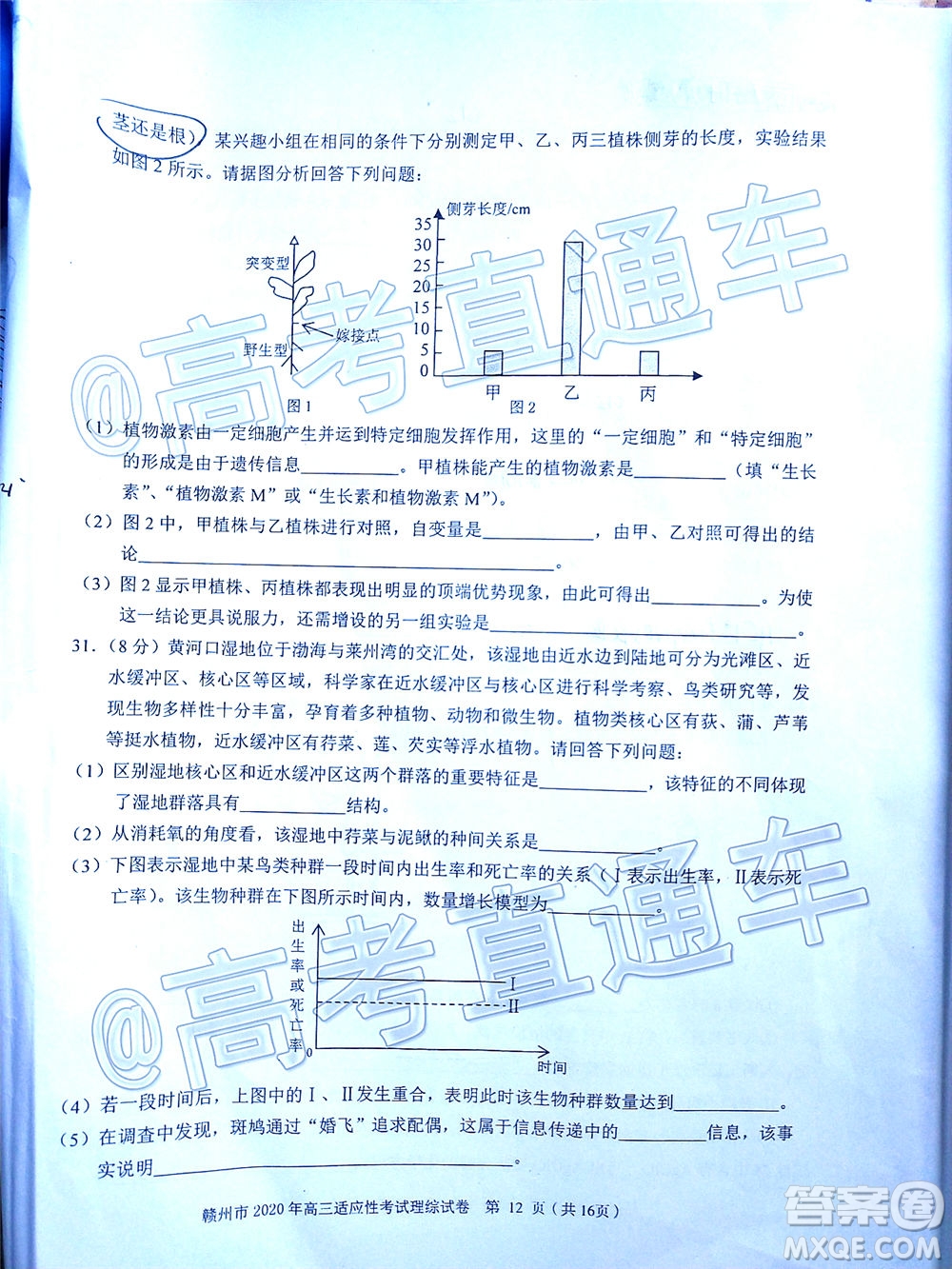 2020年5月贛州市高三年級適應(yīng)性考試?yán)砜凭C合試題及答案