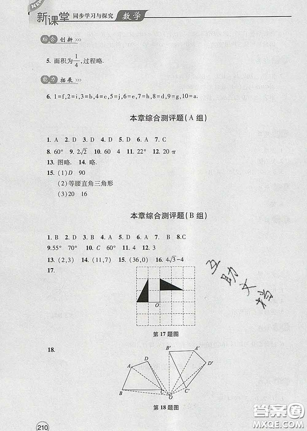 青島出版社2020春新課堂同步學(xué)習(xí)與探究八年級數(shù)學(xué)下冊答案