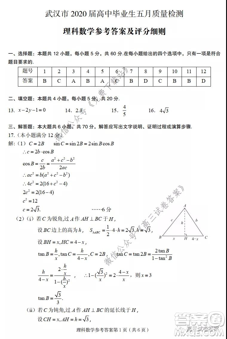 武漢市2020屆高中畢業(yè)生五月質量檢測理科數(shù)學試題及答案