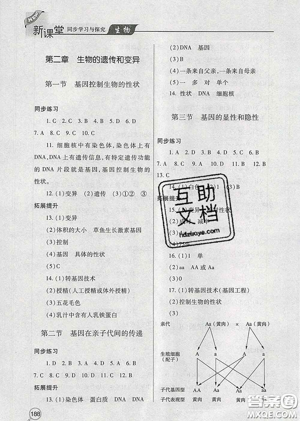 青島出版社2020春新課堂同步學(xué)習(xí)與探究八年級(jí)生物下冊(cè)答案