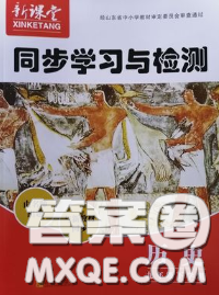 青島出版社2020春新課堂同步學(xué)習(xí)與探究九年級歷史下冊答案