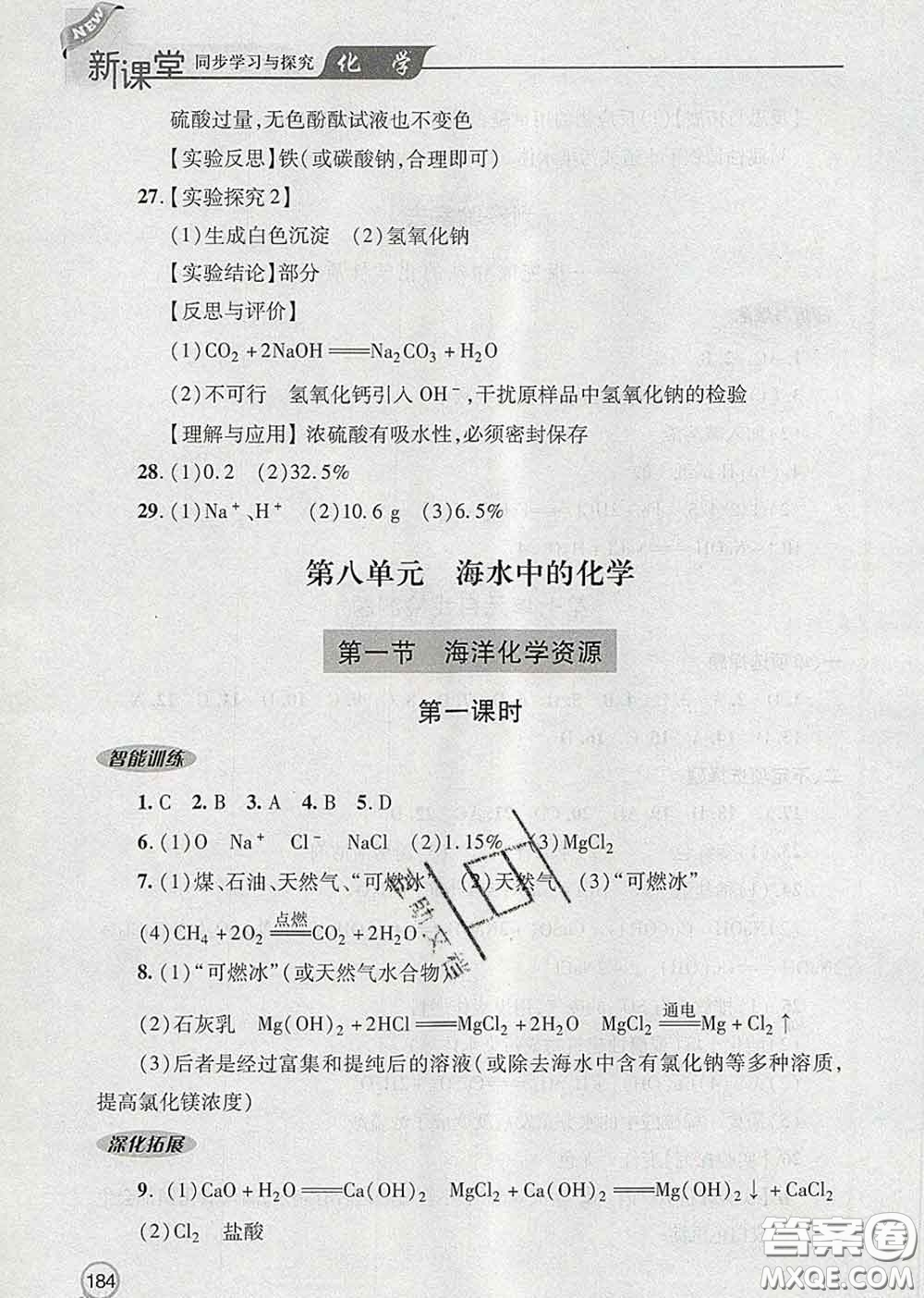 青島出版社2020春新課堂同步學(xué)習(xí)與探究九年級(jí)化學(xué)下冊(cè)答案