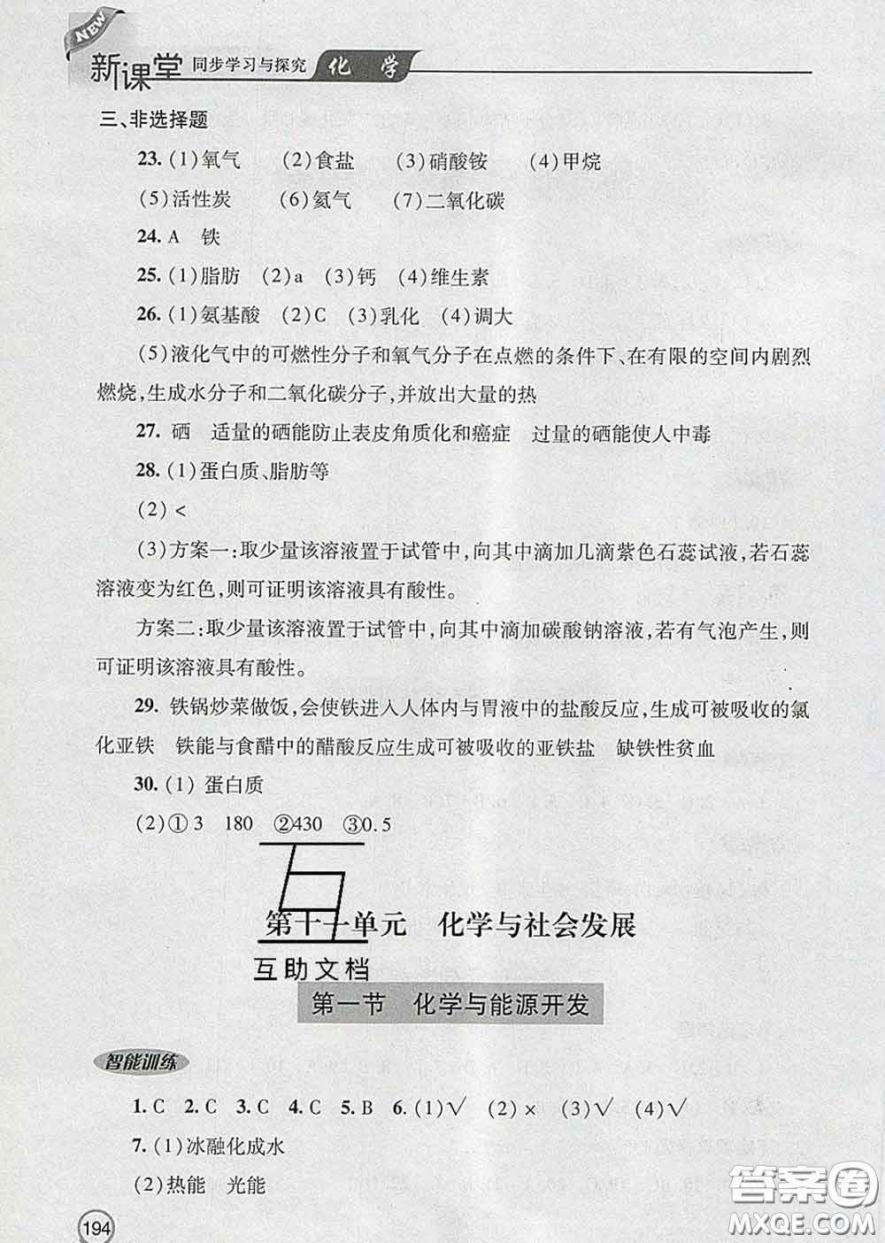 青島出版社2020春新課堂同步學(xué)習(xí)與探究九年級(jí)化學(xué)下冊(cè)答案