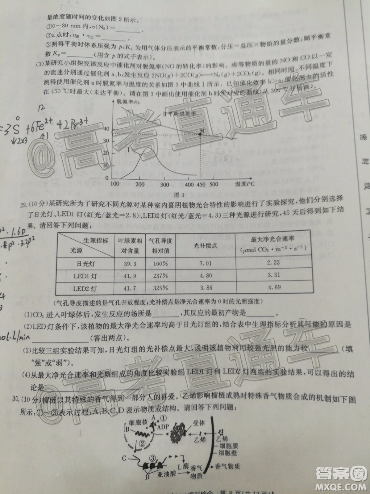 湛江市2020年普通高考測試二理科綜合試題及答案