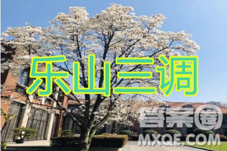 樂(lè)山市高中2020屆第三次調(diào)查研究考試?yán)砜凭C合試題及答案