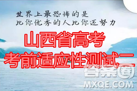 2020年山西省高考考前適應(yīng)性測試二理科數(shù)學(xué)試題及答案