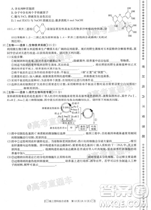 2020年金太陽全國5月百萬聯(lián)考全國一卷理科綜合試題及答案