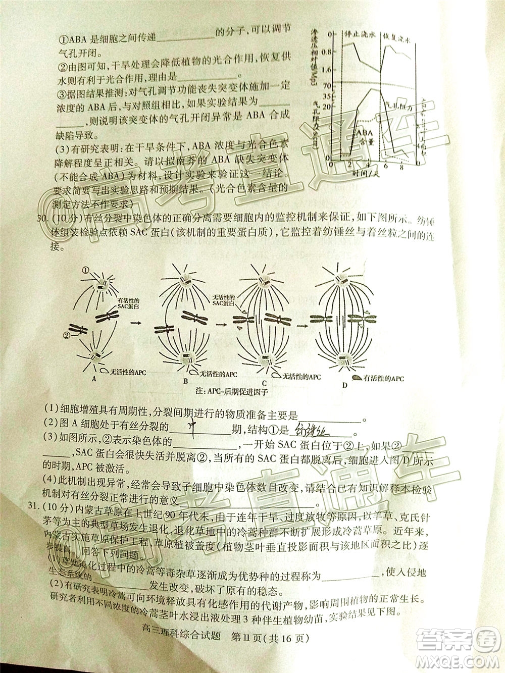 2020年運(yùn)城二模理科綜合試題及答案